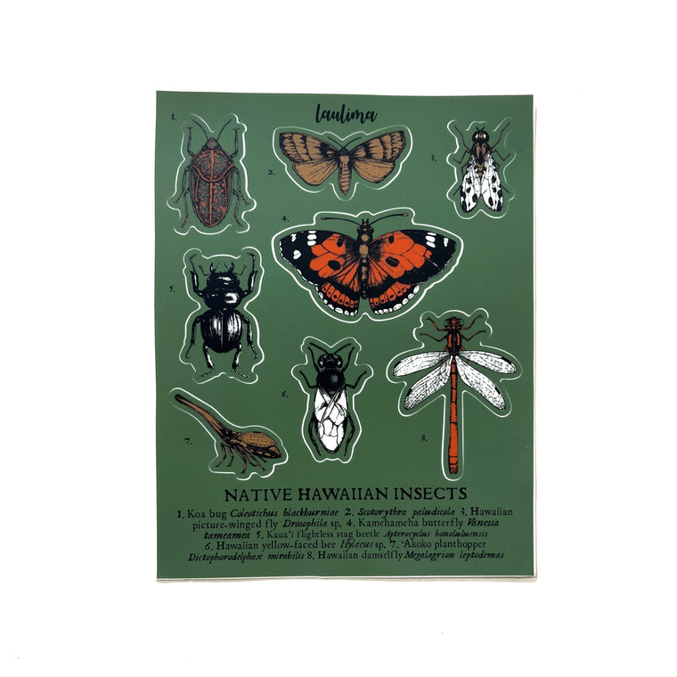 Native Hawaiian Insects Sticker Sheet
