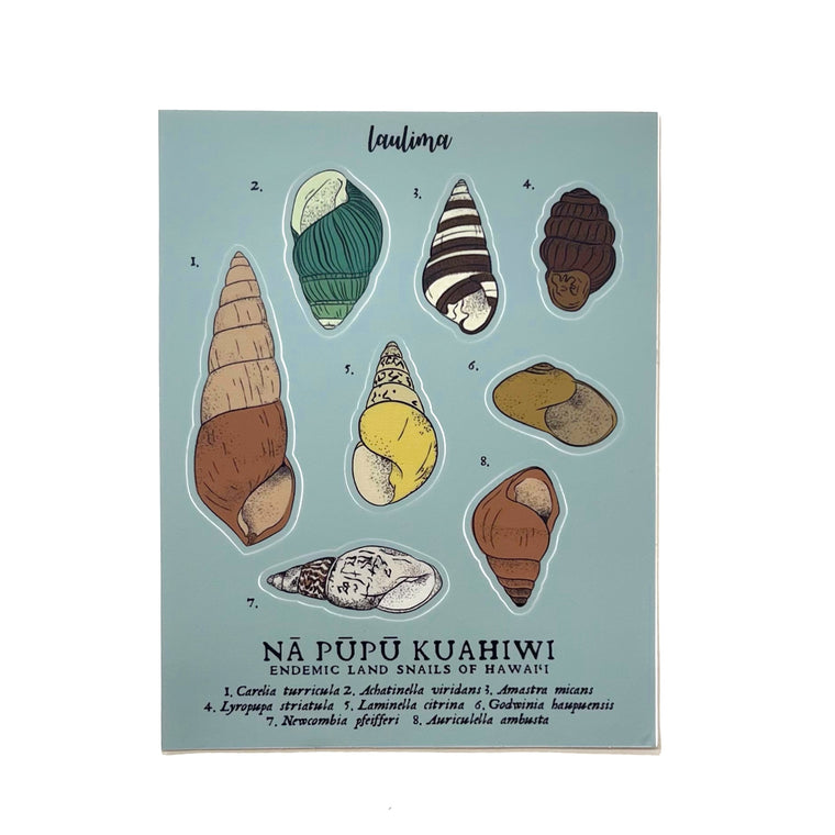 Nā Pūpū Kuahiwi (Endemic Land Snails) Sticker Sheet by LAULIMA