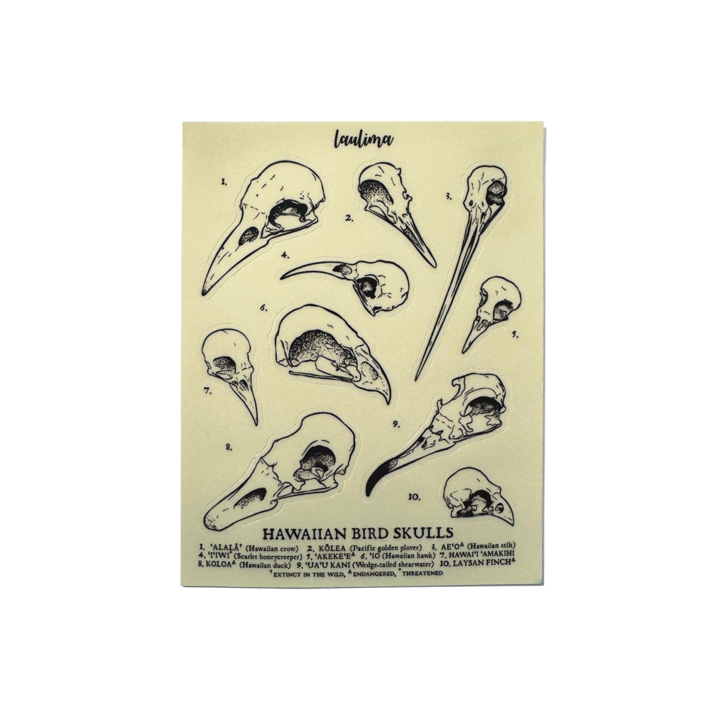 Hawaiian Bird Skulls Sticker Sheet by LAULIMA