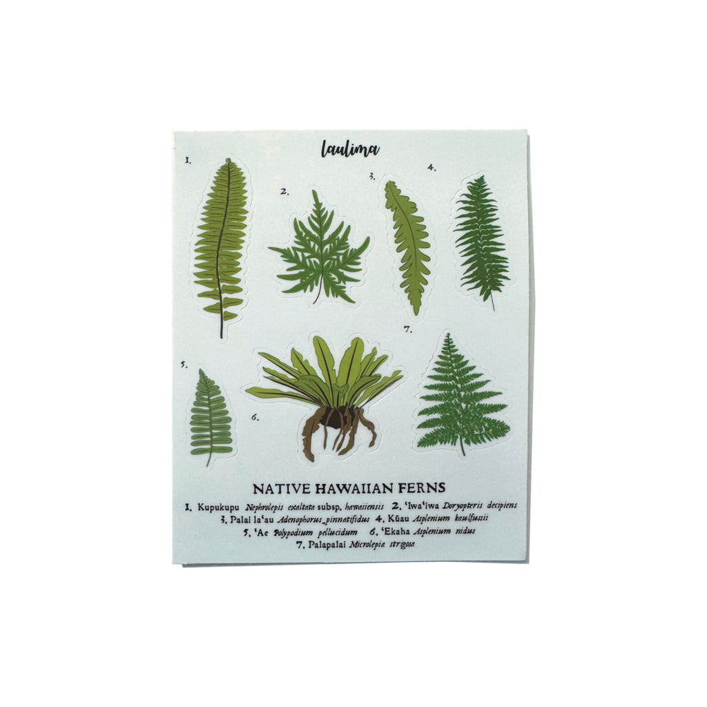 Native Hawaiian Ferns Sticker Sheet