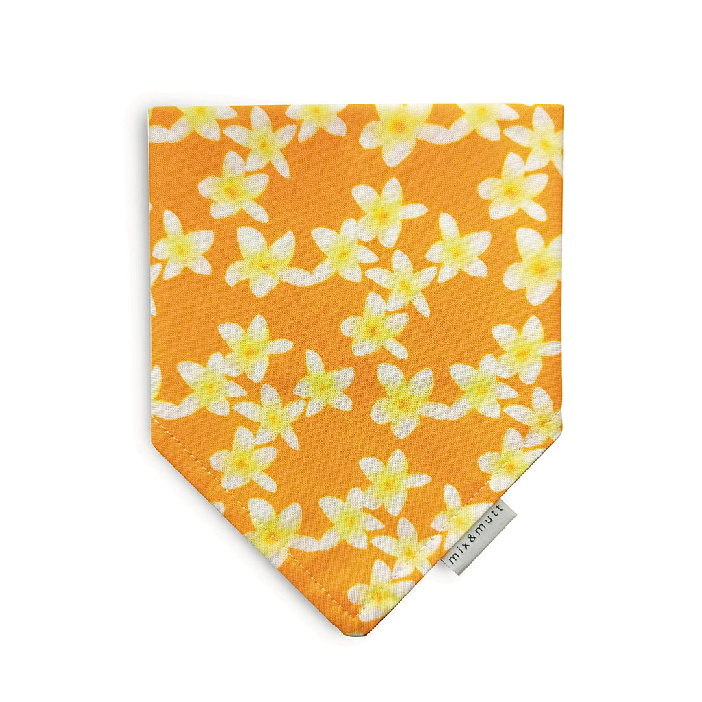 Plumeria Flowers Bandana by MIX & MUTT