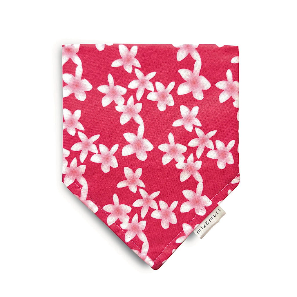 Plumeria Flowers Bandana by MIX & MUTT