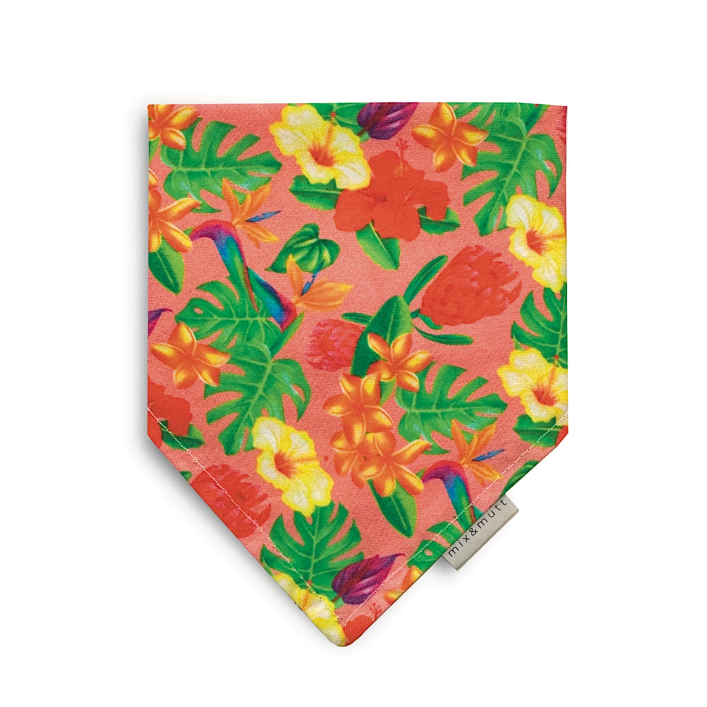 Jungle Fun Bandana by MIX & MUTT