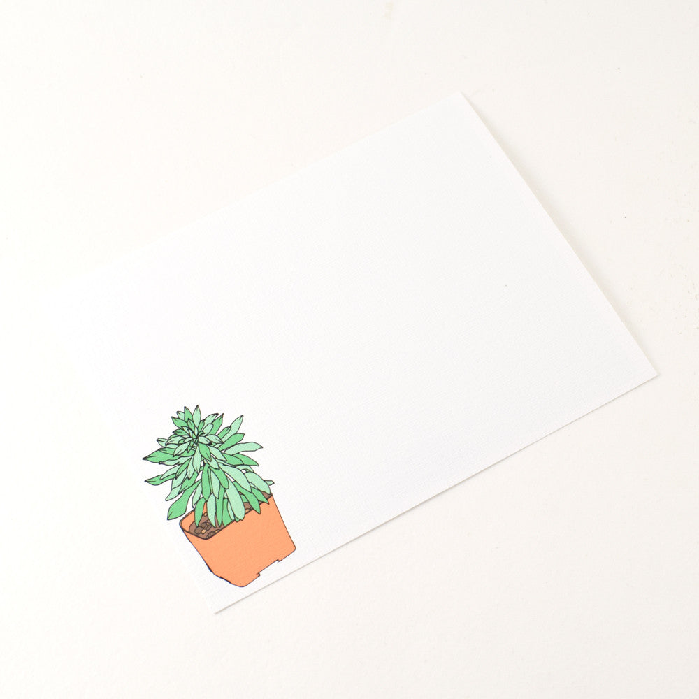 Greeting Card Set in Succulents