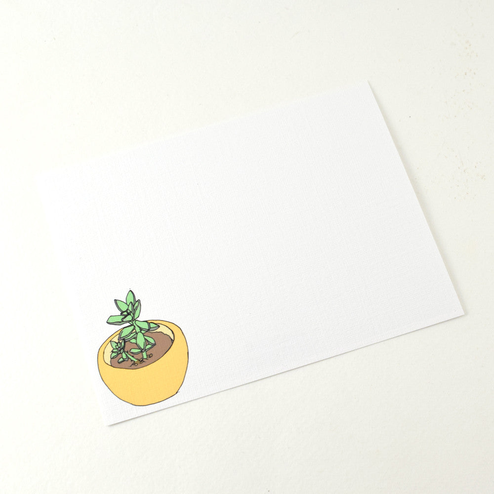 Greeting Card Set in Succulents