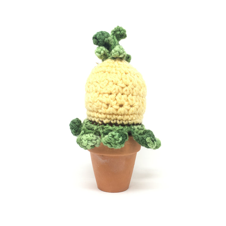 Knitted Pineapple Pot