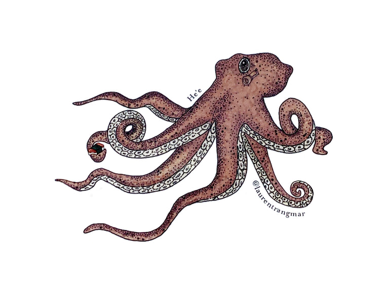 He'e (Octopus) Sticker