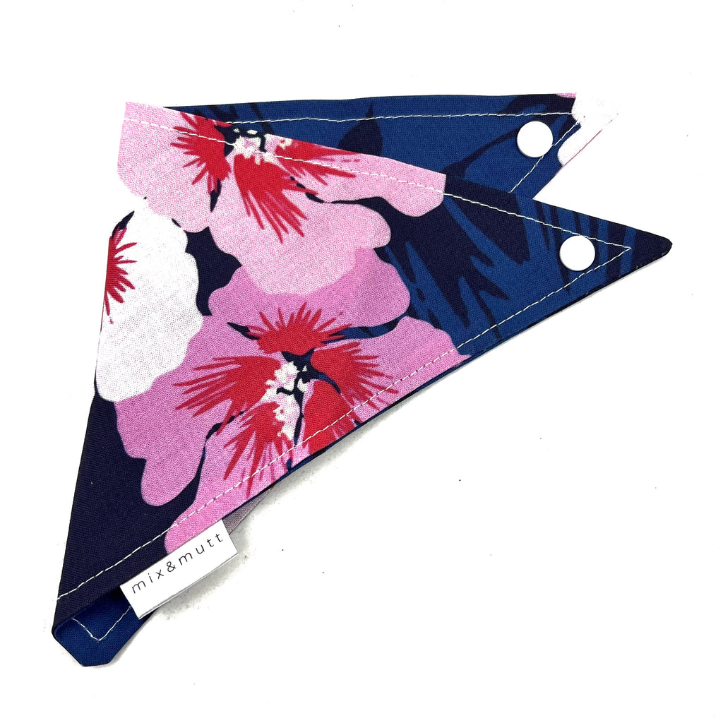 Pink Hibiscus on Navy Blue Pet Bandanas by MIX & MUTT