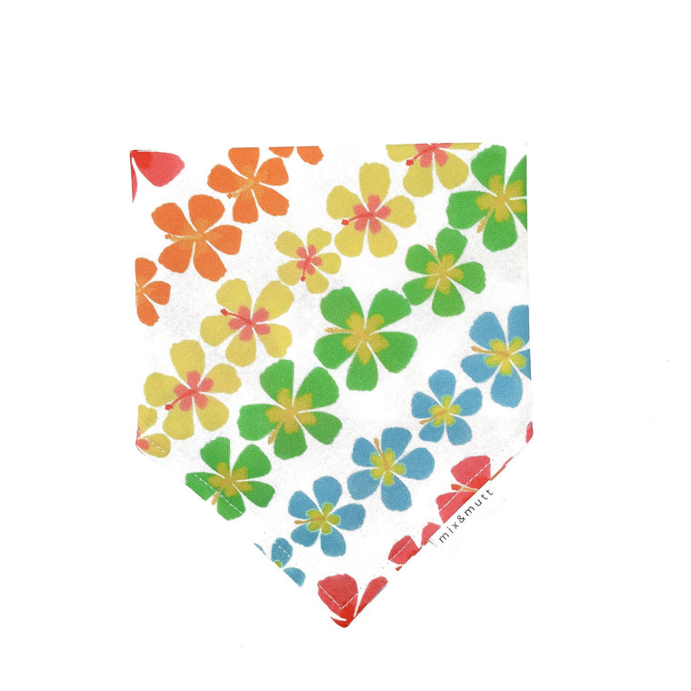 Rainbow Hibiscus Pet Bandanas by MIX & MUTT