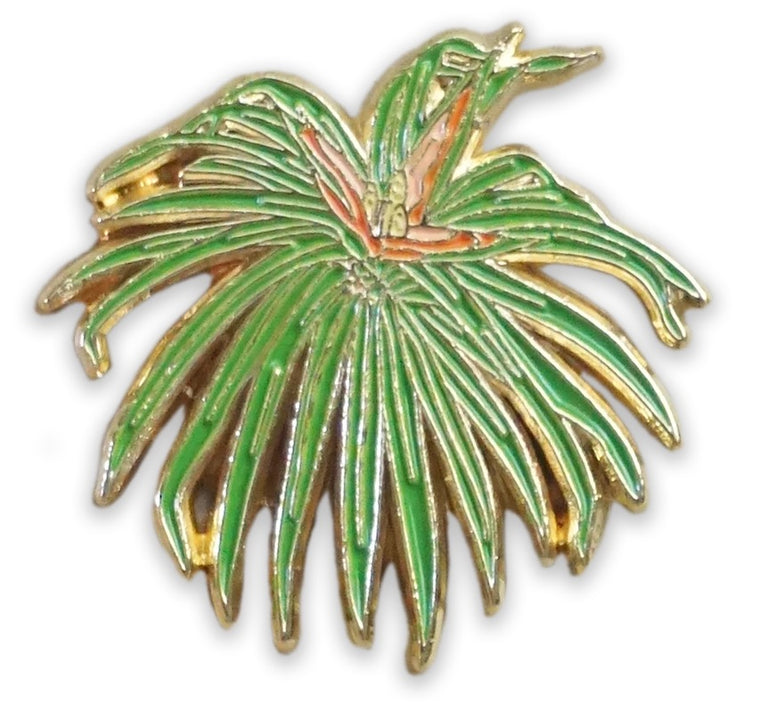'Ieʻie Pin